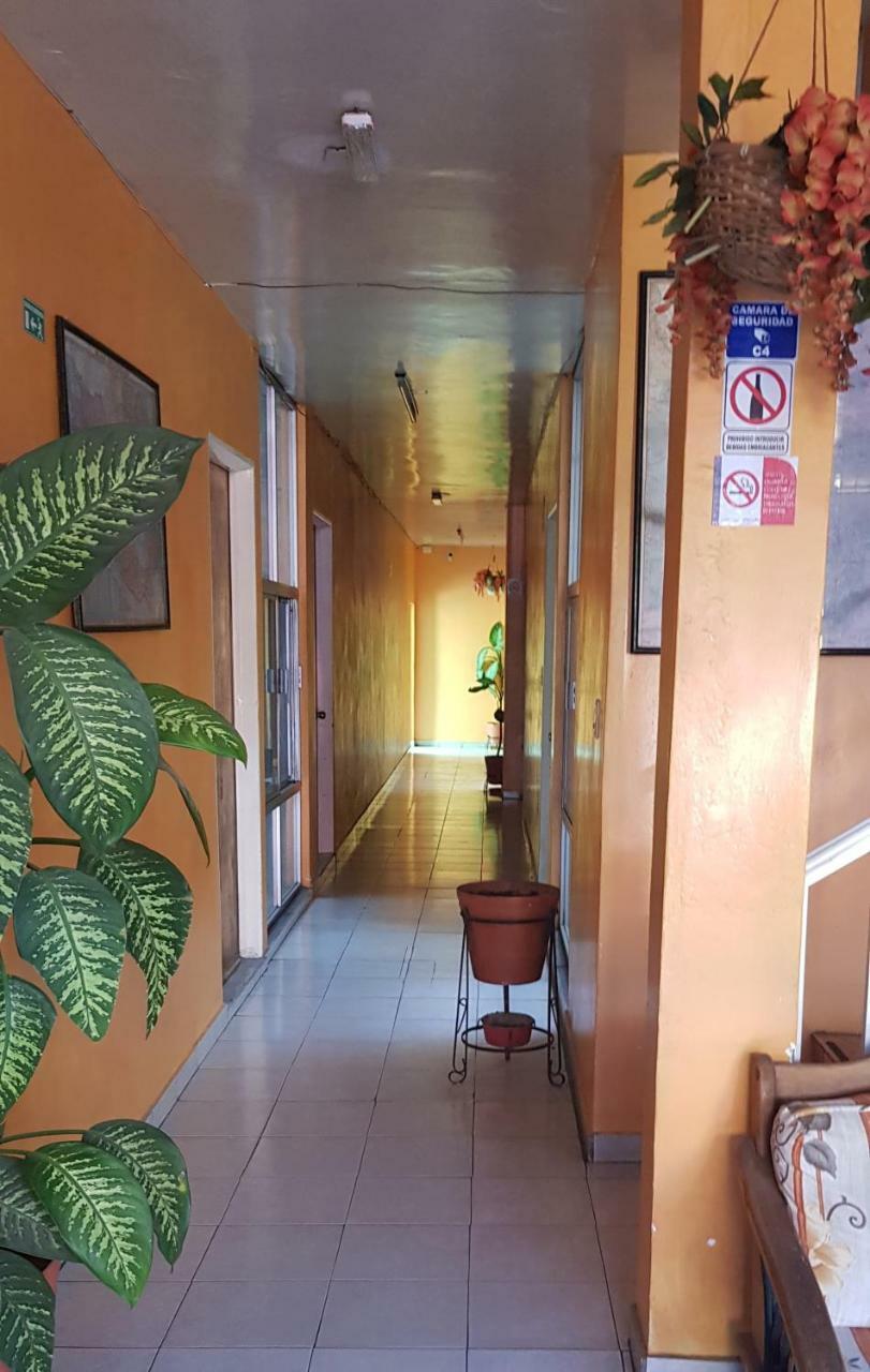 Hotel Don Jesus アグアスカリエンテス エクステリア 写真